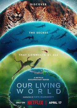 life on our planet