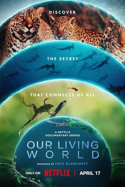 life on our planet