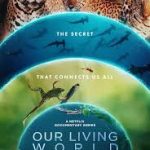 our living world